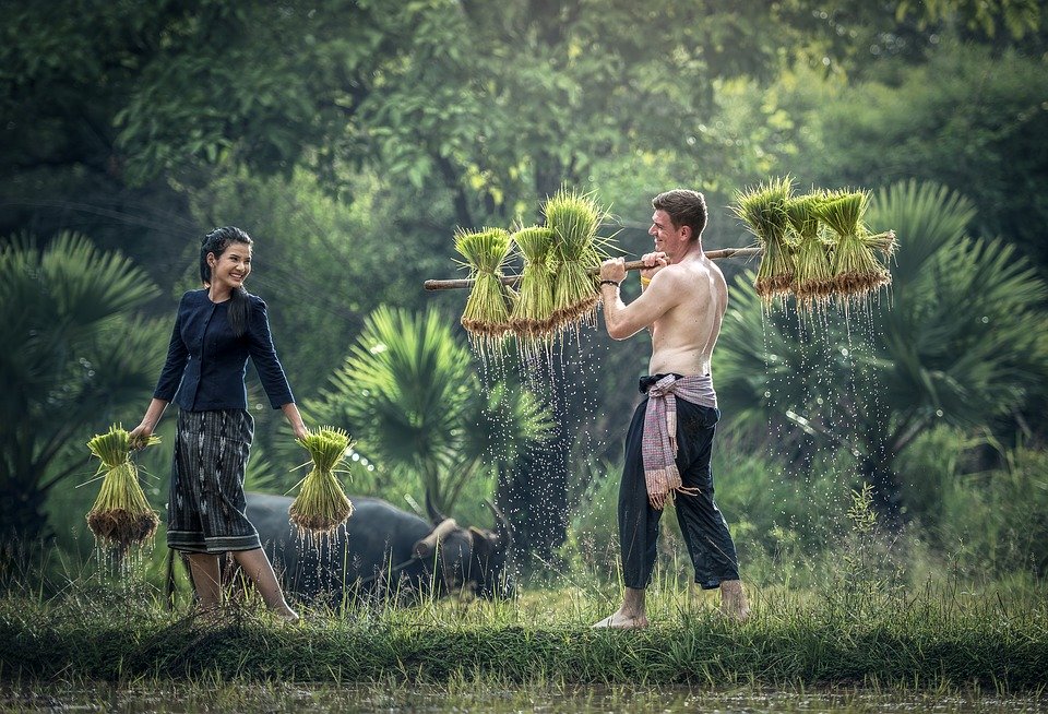 Comment créer son entreprise et entreprendre au Vietnam