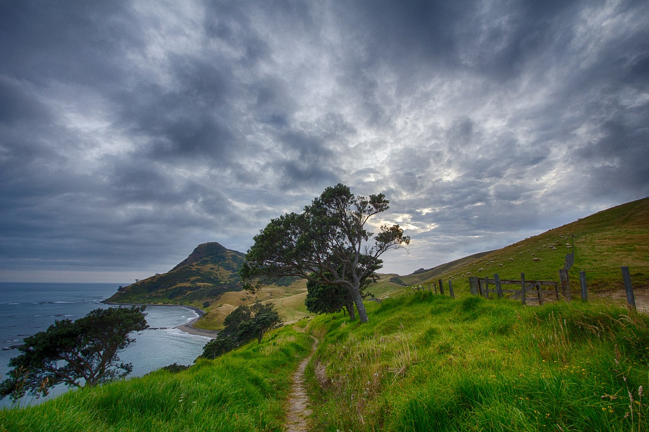Randonner en Nouvelle-Zélande : 3 destinations magiques